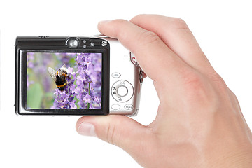 Image showing Taking pictures