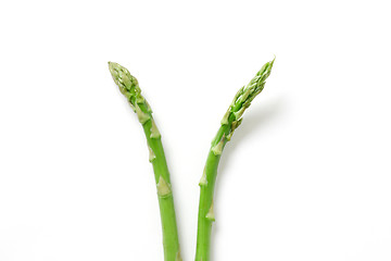 Image showing Asparagus