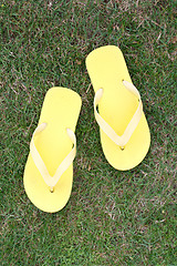 Image showing Slippers