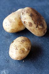 Image showing Potatoes