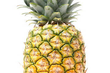 Image showing Pineapple