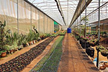 Image showing Greenhouse