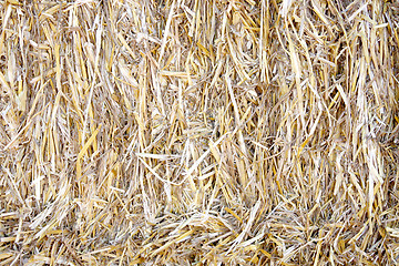 Image showing Bale of straw