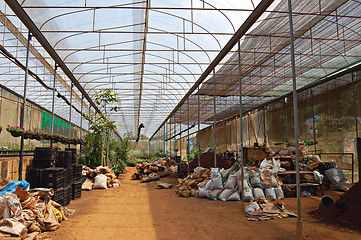 Image showing Large greenhouse