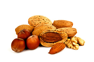 Image showing Almonds, walnuts and hazelnuts.