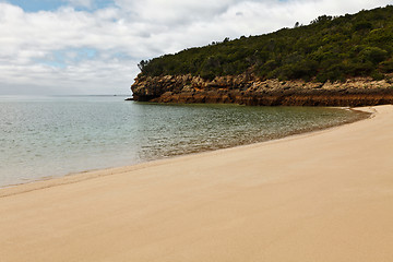 Image showing Beach bunny.