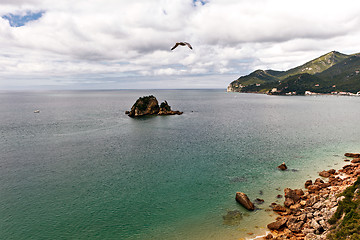 Image showing National Park of Arrabida