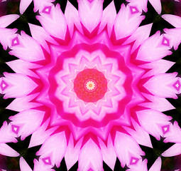 Image showing Flower Kaleidoscopic Background 