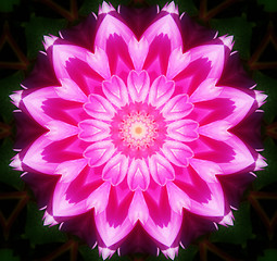 Image showing Flower Kaleidoscopic Background 