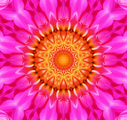 Image showing Flower Kaleidoscopic Background 