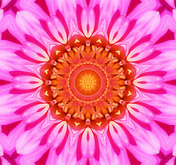 Image showing Flower Kaleidoscopic Background 