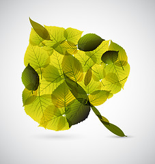 Image showing Fresh Leaf made from smaller leafs