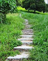 Image showing path go up mountain