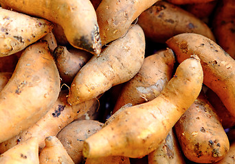 Image showing Organic sweet potatoes at market