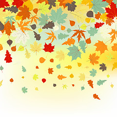 Image showing Colorful backround of fallen autumn leaves. EPS 8