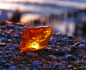 Image showing Amber