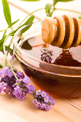 Image showing lavender honey with fresh flowers. sweet food 