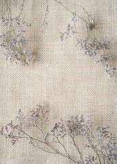 Image showing Bunch of  wormwood flowers on sackcloth background 