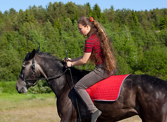 Image showing Girl rides a horse