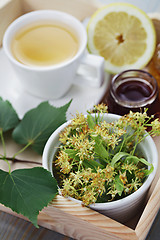 Image showing linden tea