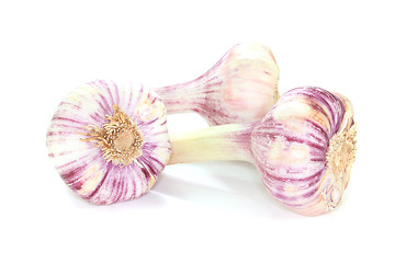 Image showing Garlic