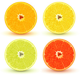 Image showing citrus fruits