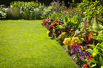 Image showing Colorful garden flowers