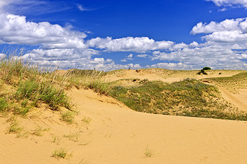 Image showing Desert landscape in Manitoba, Canada
