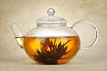 Image showing Flowering blooming tea