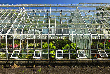 Image showing Greenhouse