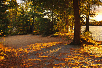 Image showing Autumn trees near lake