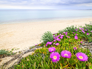 Image showing Aegean sea coast in Greece