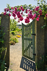Image showing Open garden gate with roses