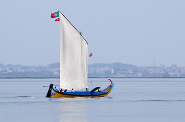 Image showing Annual Moliceiros Regatta