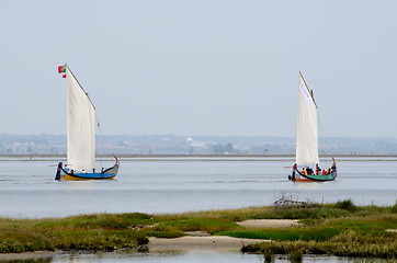 Image showing Annual Moliceiros Regatta