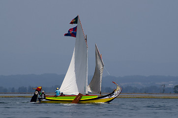 Image showing Annual Moliceiros Regatta