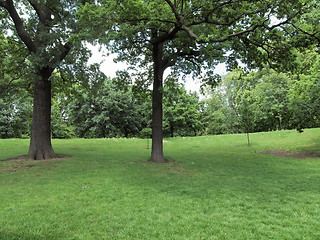 Image showing Kensington gardens, London