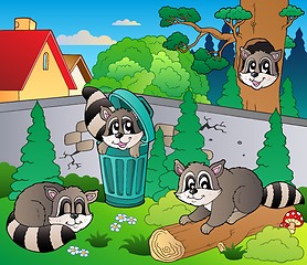 Image showing Backyard with cute racoons