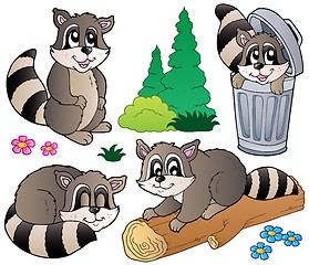 Image showing Cartoon racoons collection