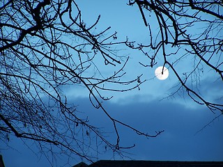 Image showing moon on the blue sky