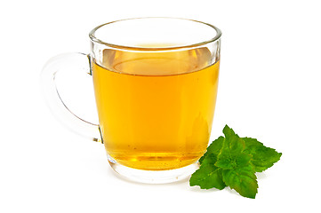 Image showing Herbal tea with mint