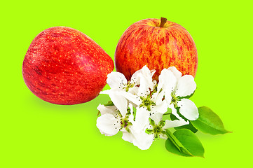 Image showing Red apples with flowers