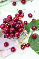 Image showing Sweet cherry in glass bowl