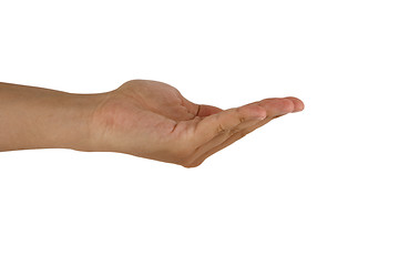 Image showing gesture of man hand open