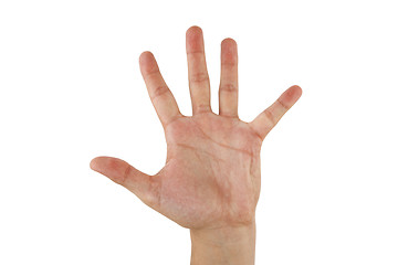 Image showing Open hand over white background