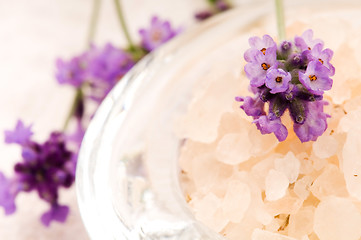 Image showing Bath Salt With Fresh Lavender Flowers