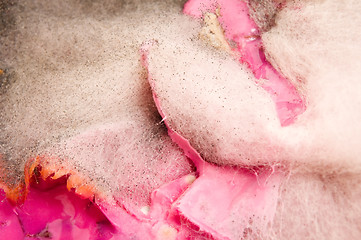 Image showing Soup damaged by mold, extreme closeup of texture 