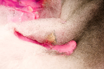 Image showing Soup damaged by mold, extreme closeup of texture 