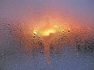 Image showing water drops and sunlight