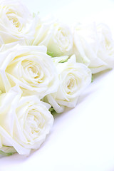 Image showing  Beautiful white roses